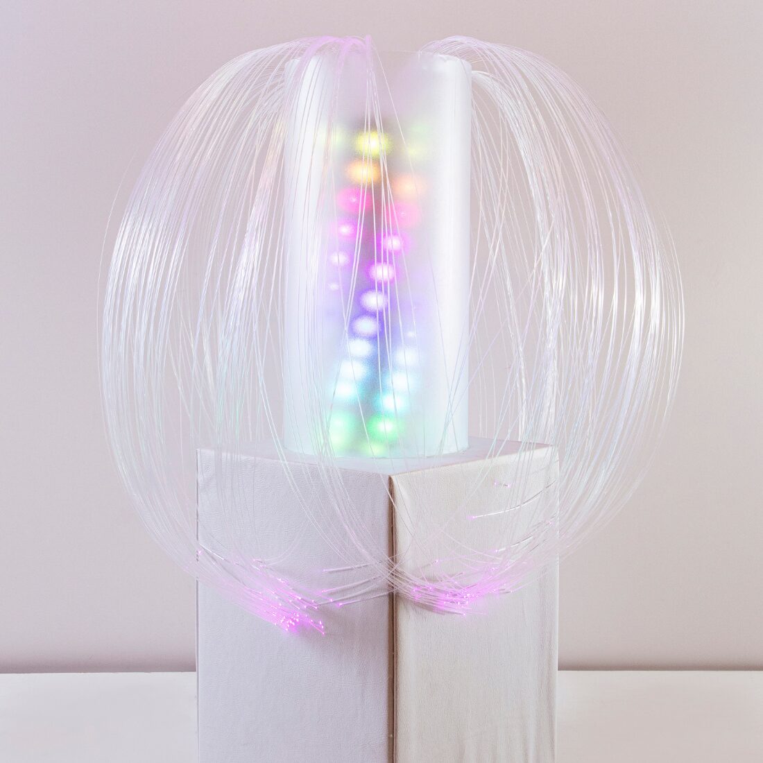 Coqueiro fibra optica 1